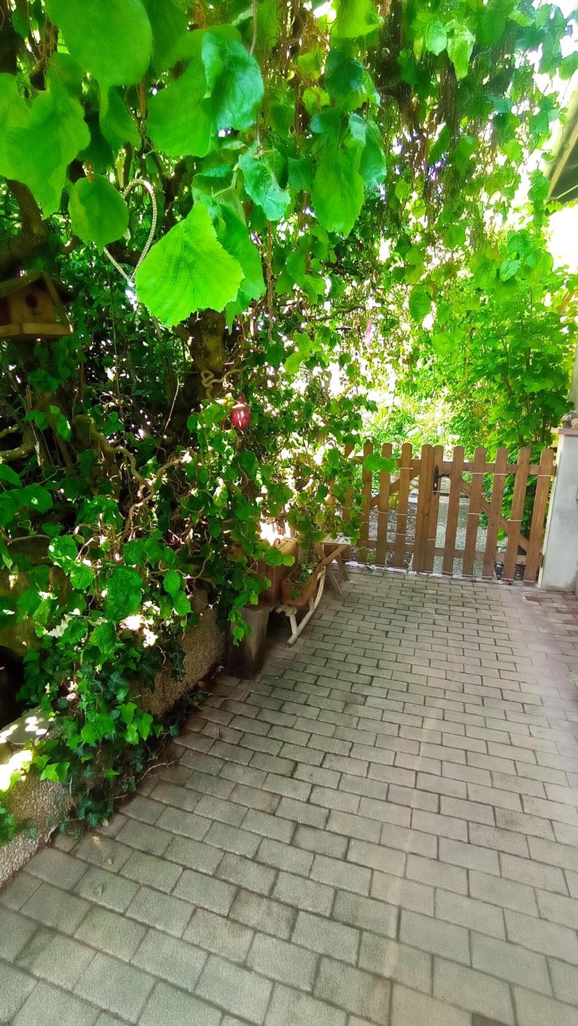 Garden Duplex Apartment Sundhoffen ภายนอก รูปภาพ