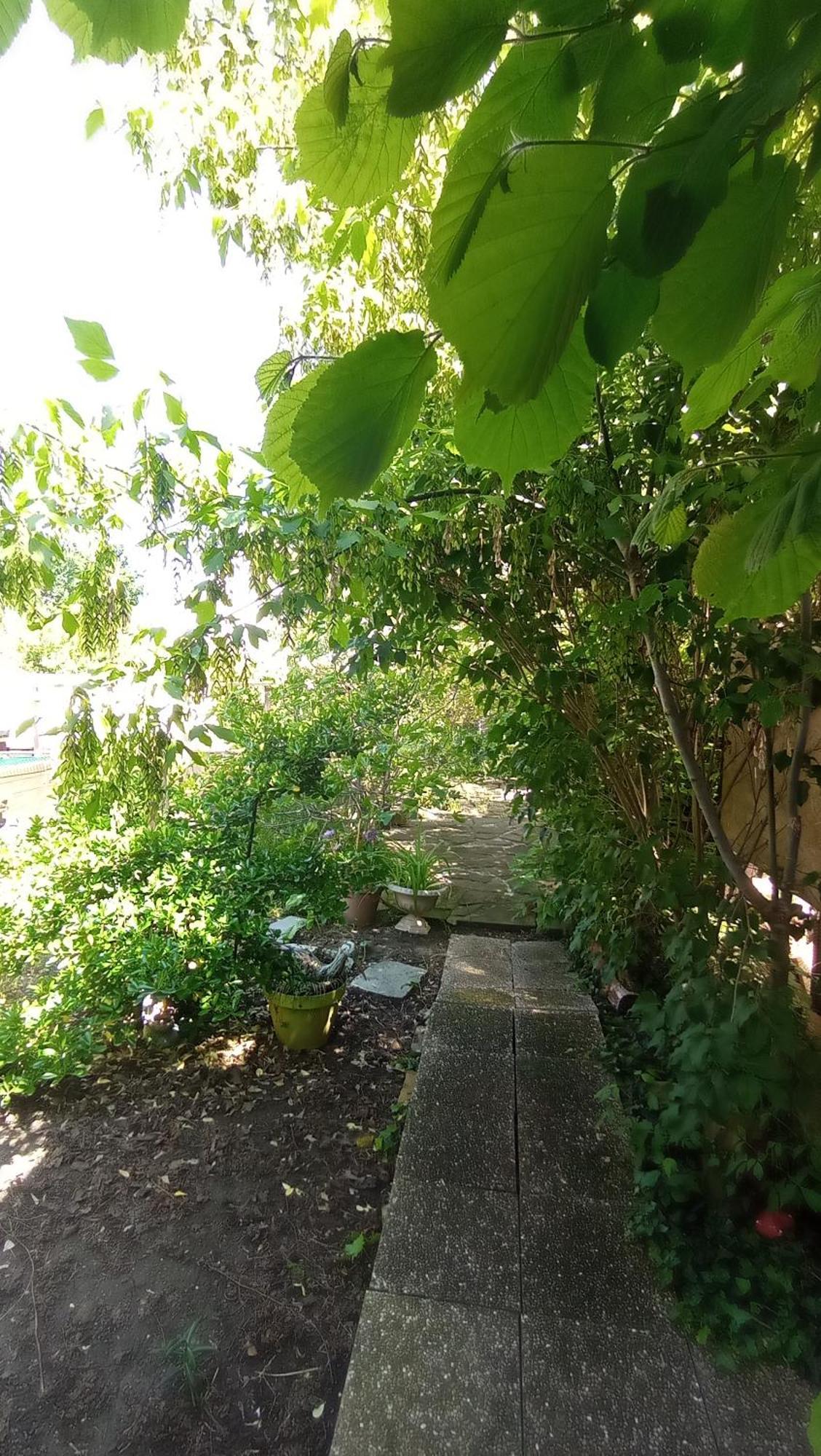 Garden Duplex Apartment Sundhoffen ภายนอก รูปภาพ